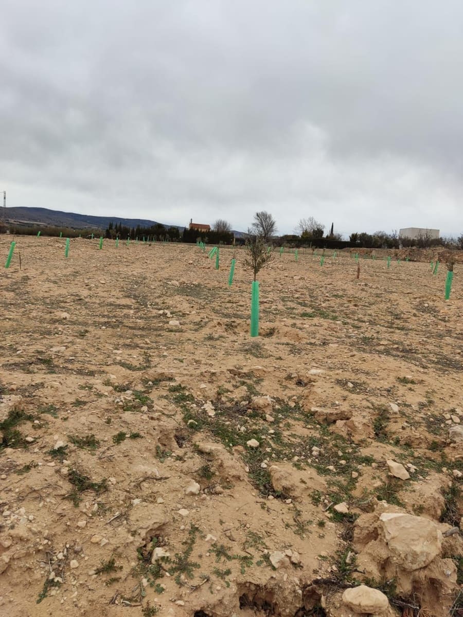 Terreno/Finca Rústica en Villena en venta - 50.000 € (Ref: 9586563)