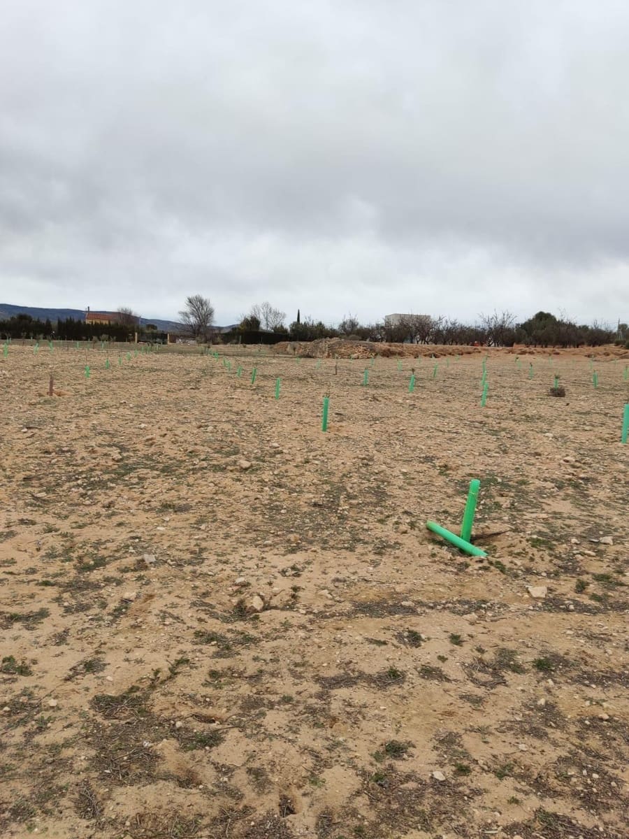 Terreno/Finca Rústica en Villena en venta - 50.000 € (Ref: 9586563)