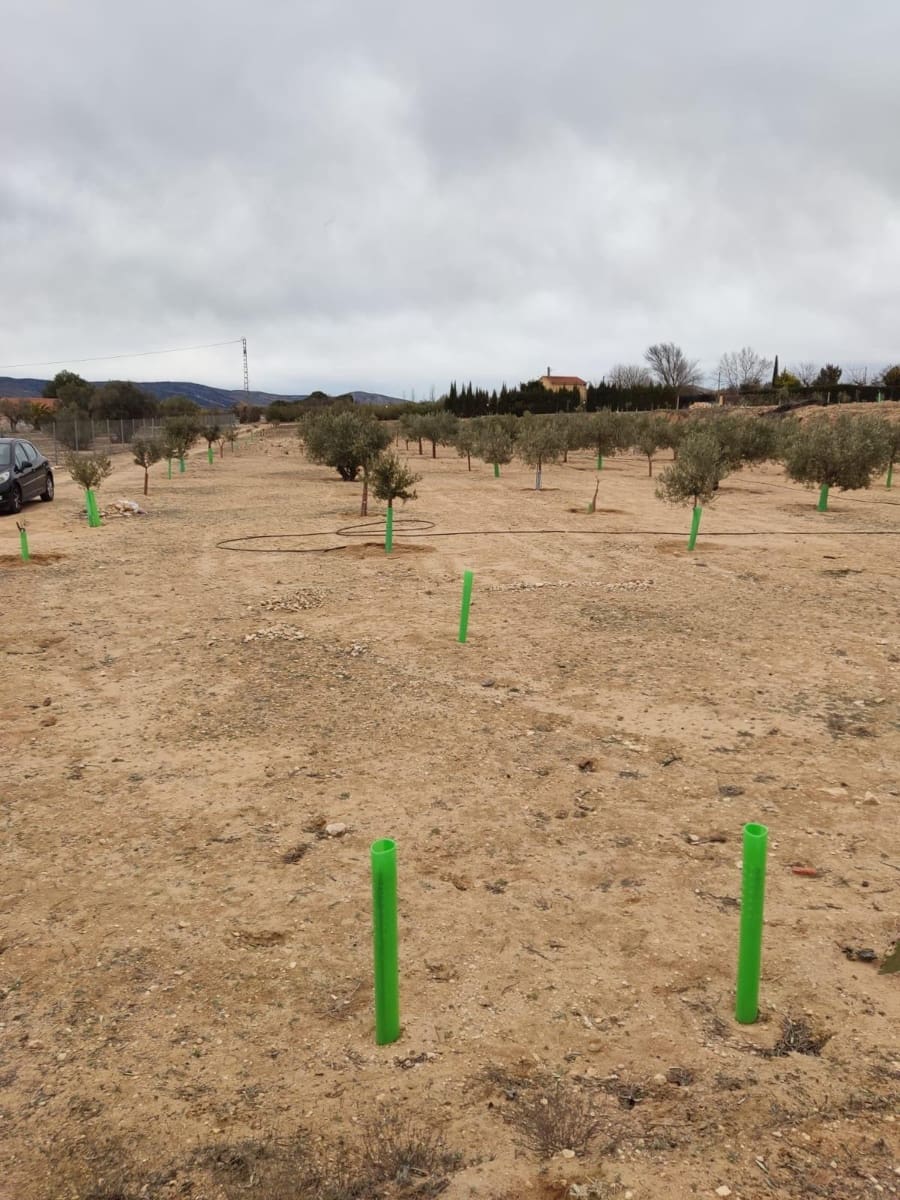 Terreno/Finca Rústica en Villena en venta - 50.000 € (Ref: 9586563)