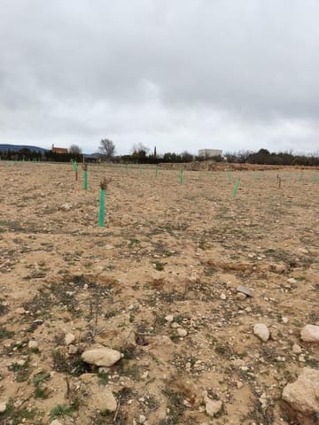 Terreno/Finca Rústica en Villena en venta - 50.000 € (Ref: 9586563)