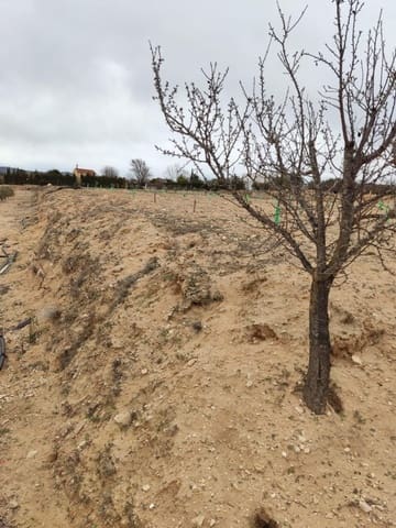 Terreno/Finca Rústica en Villena en venta - 50.000 € (Ref: 9586563)