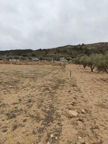 Terreno/Finca Rústica en Villena en venta - 50.000 € (Ref: 9586563)