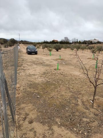 Terreno/Finca Rústica en Villena en venta - 50.000 € (Ref: 9586563)