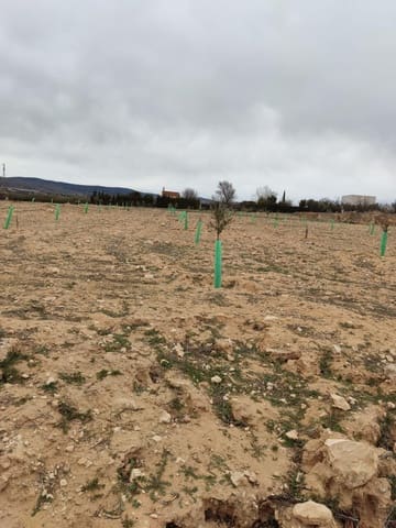 Terreno/Finca Rústica en Villena en venta - 50.000 € (Ref: 9586563)