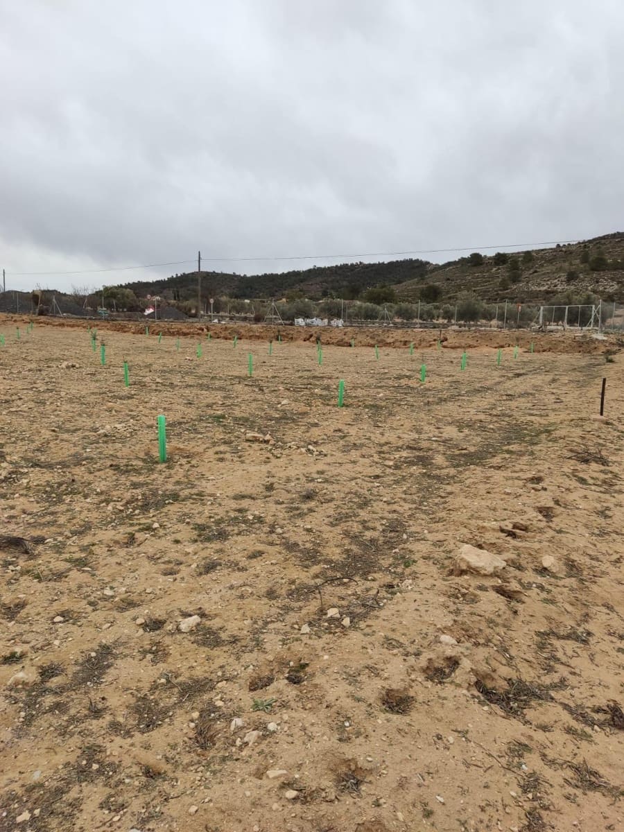 Terreno/Finca Rústica en Villena en venta - 50.000 € (Ref: 9586563)