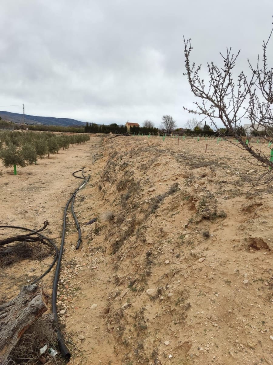 Terreno/Finca Rústica en Villena en venta - 50.000 € (Ref: 9586563)