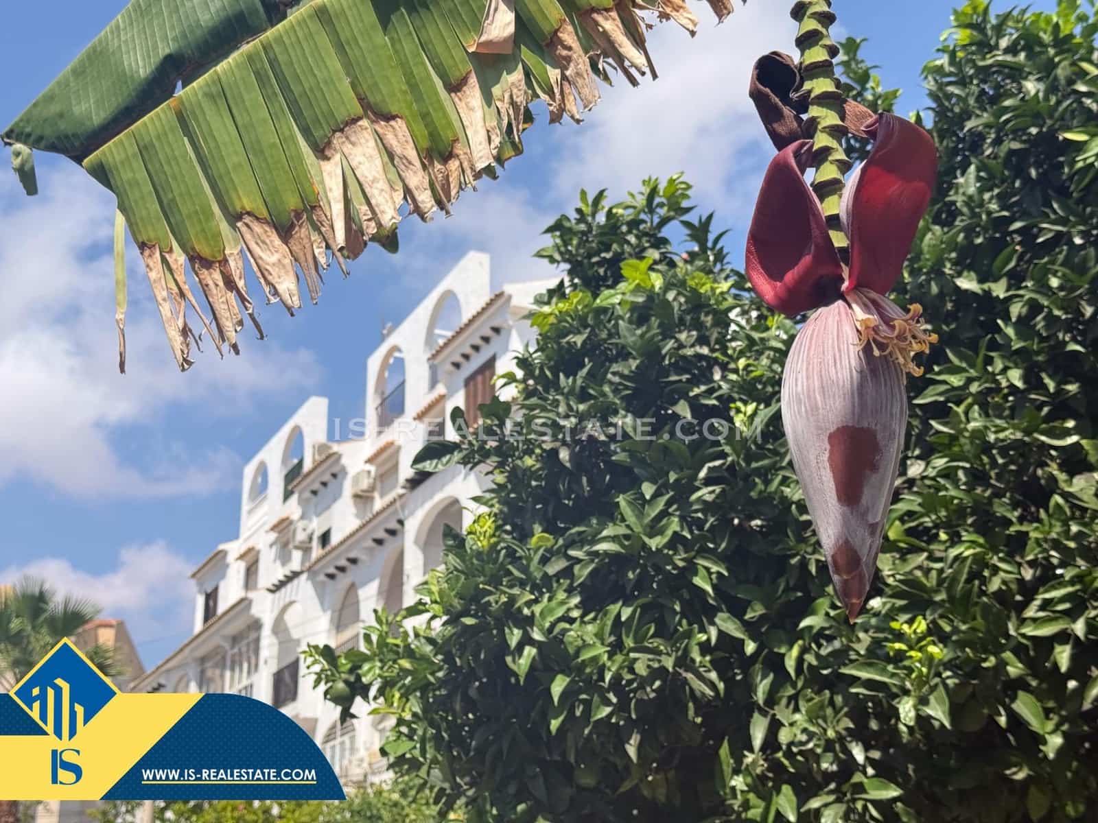 3 bedroom Penthouse for sale in Torrevieja with pool - € 199,900 (Ref: 9596225)