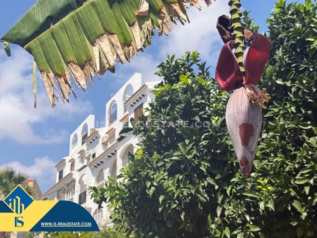 3 bedroom Penthouse for sale in Torrevieja with pool - € 199,900 (Ref: 9596225)