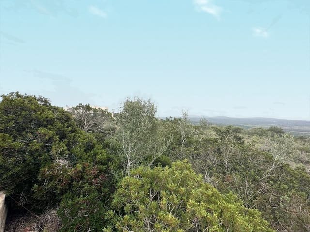 Bouwgrond te koop in Marratxí - € 795.000 (Ref: 8578382)