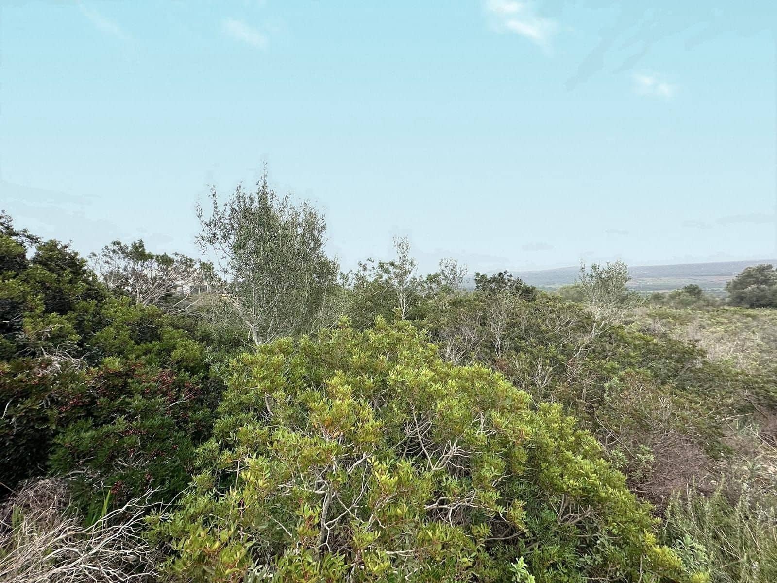 Bouwgrond te koop in Marratxi - € 795.000 (Ref: 8578382)