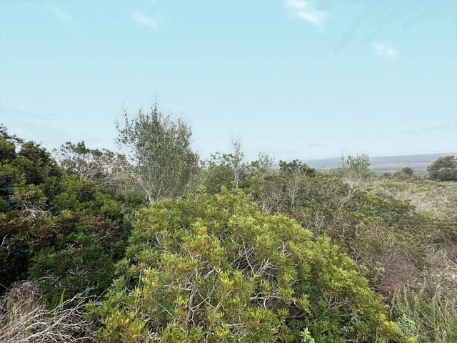 Bouwgrond te koop in Marratxí - € 795.000 (Ref: 8578382)