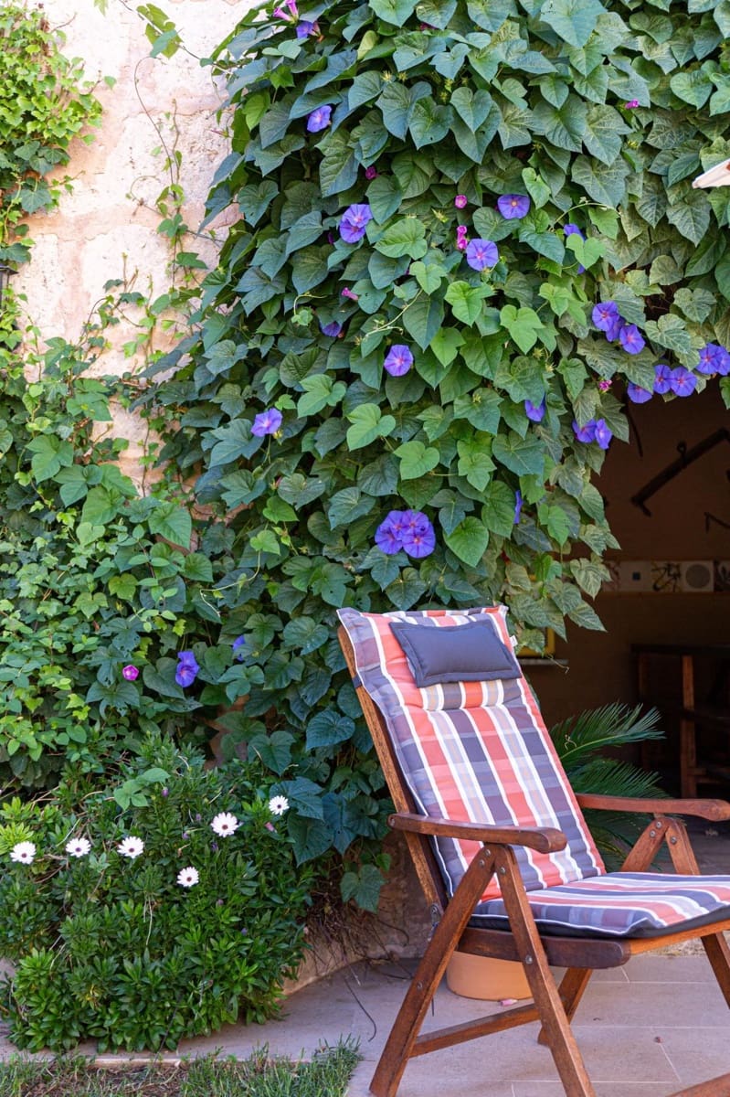 5 soveværelse Villa til salg i Sa Pobla med swimmingpool garage - € 849.000 (Ref: 8578391)