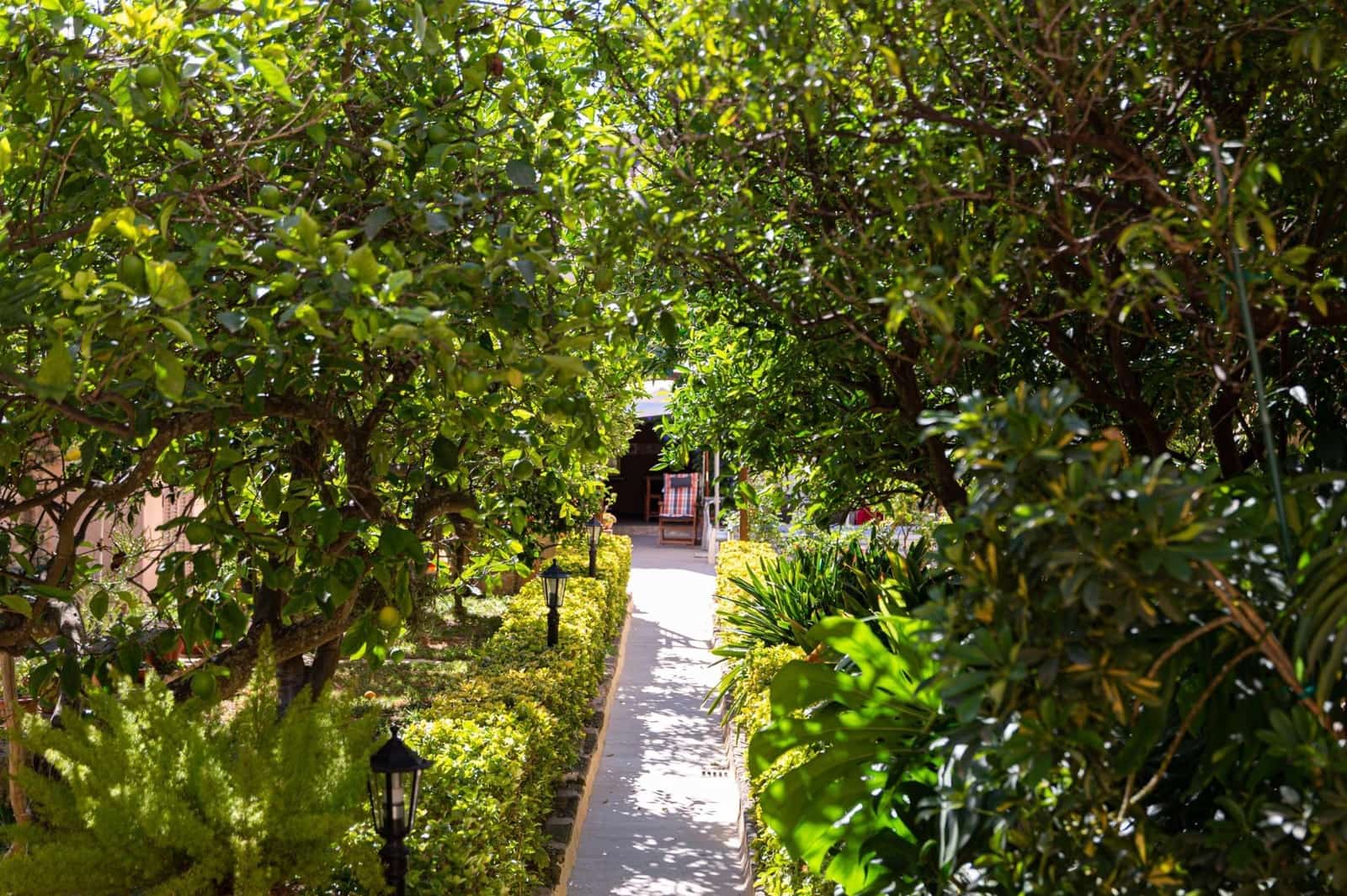 5 soveværelse Villa til salg i Sa Pobla med swimmingpool garage - € 849.000 (Ref: 8578391)