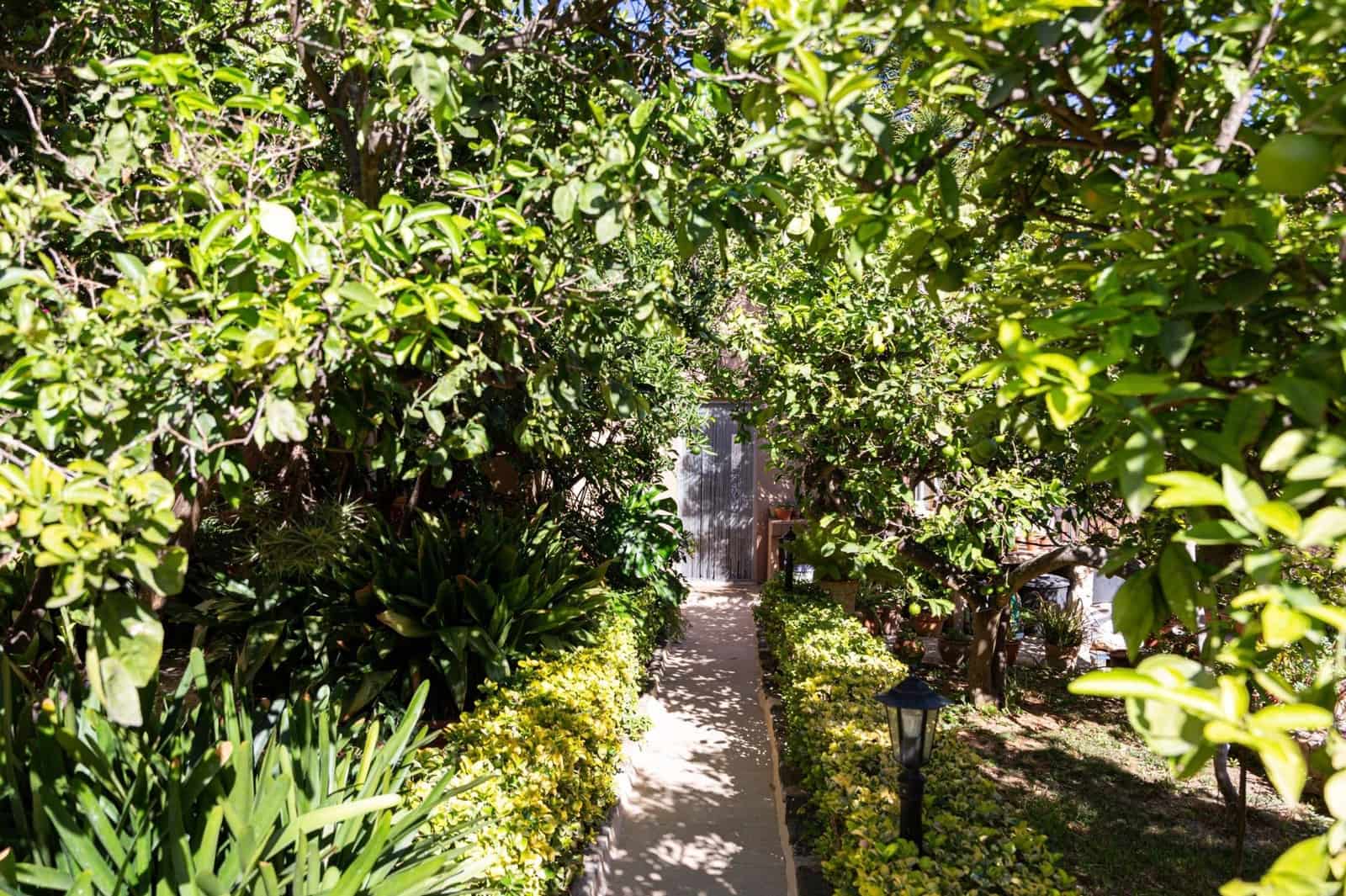 5 soveværelse Villa til salg i Sa Pobla med swimmingpool garage - € 849.000 (Ref: 8578391)