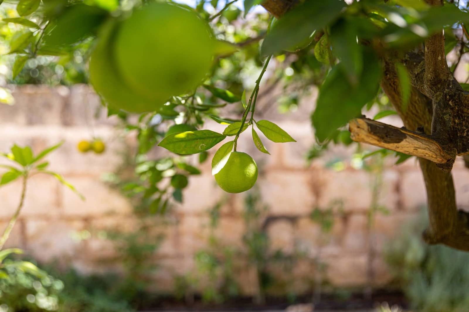 5 soveværelse Villa til salg i Sa Pobla med swimmingpool garage - € 849.000 (Ref: 8578391)