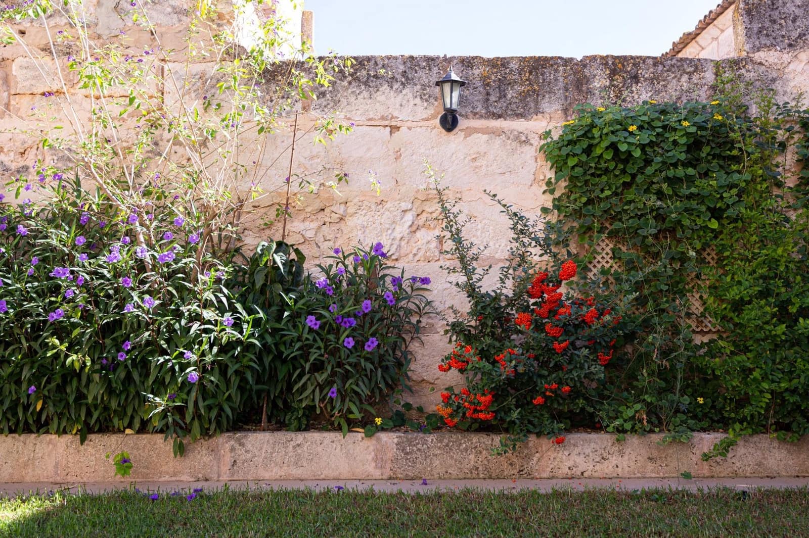 5 soveværelse Villa til salg i Sa Pobla med swimmingpool garage - € 849.000 (Ref: 8578391)