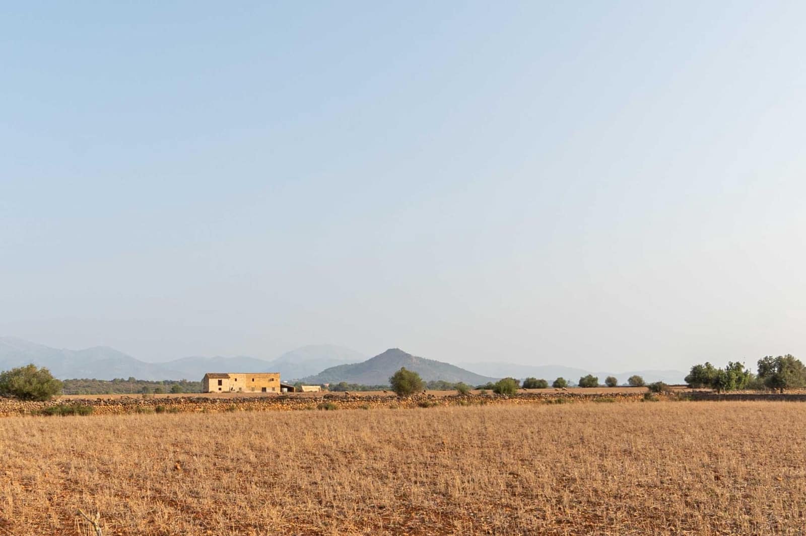 Tontti myytävänä paikassa Inca - 275 000 € (Ref: 8776479)