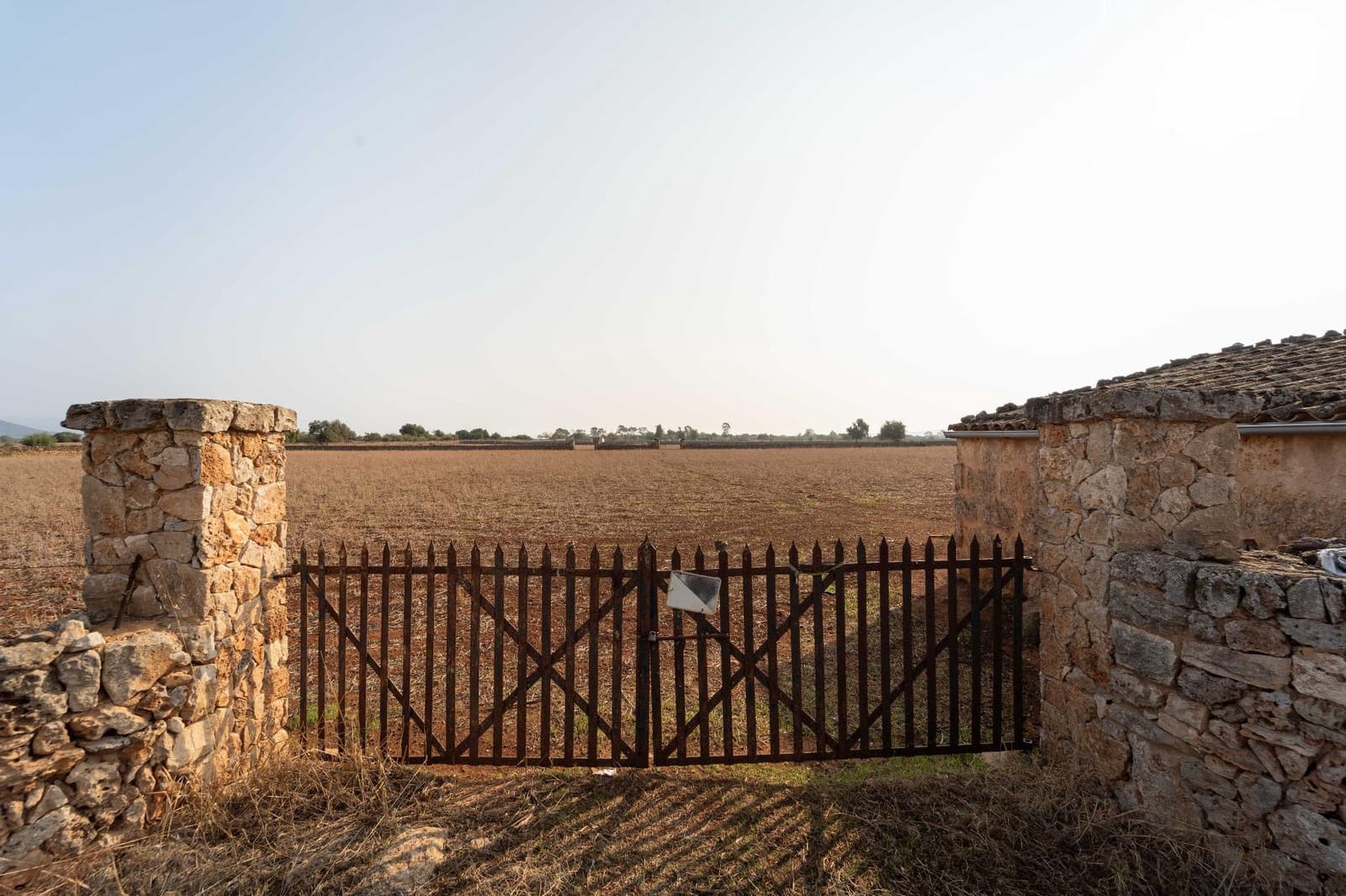 Tontti myytävänä paikassa Inca - 275 000 € (Ref: 8776479)