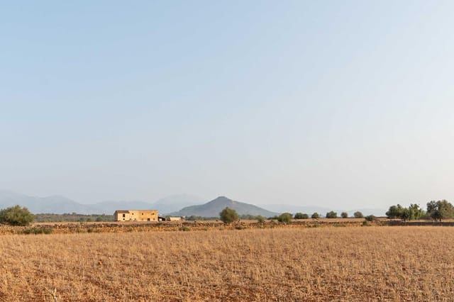 Byggegrund til salg i Inca - € 275.000 (Ref: 8776479)