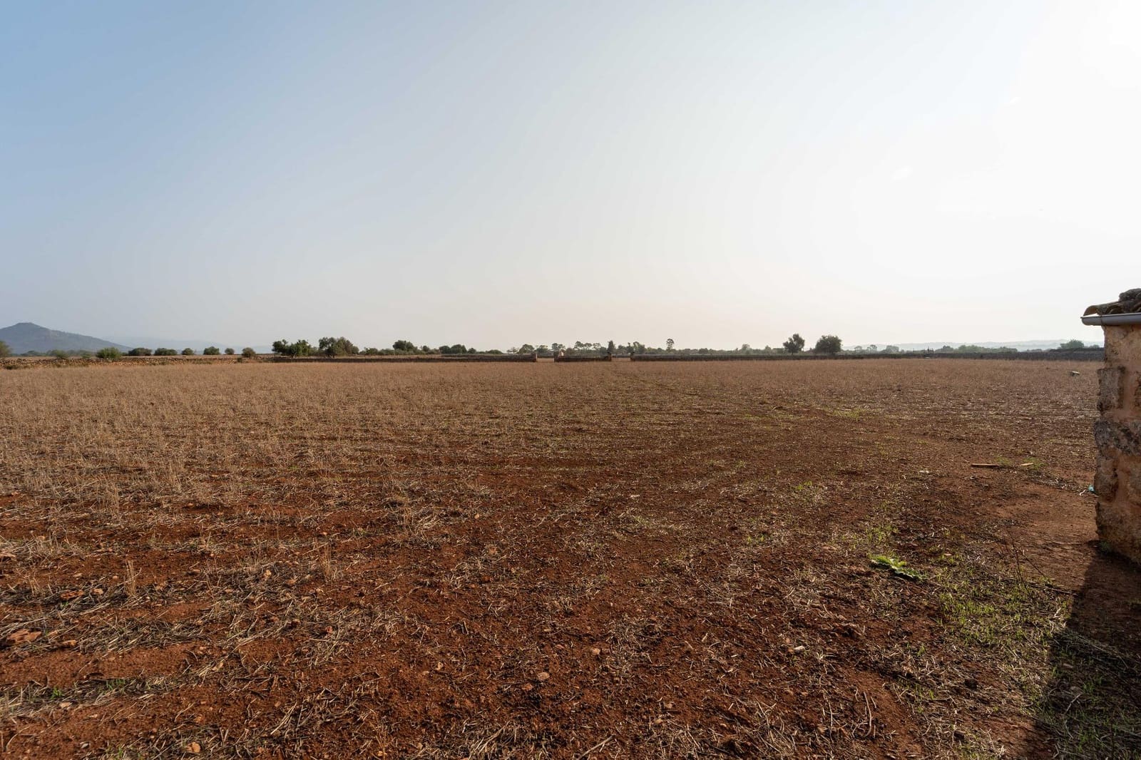 Tontti myytävänä paikassa Inca - 275 000 € (Ref: 8776479)