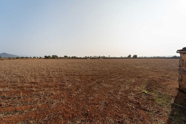 Byggegrund til salg i Inca - € 275.000 (Ref: 8776479)