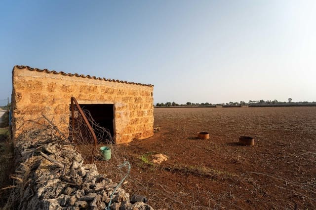 Byggegrund til salg i Inca - € 275.000 (Ref: 8776479)