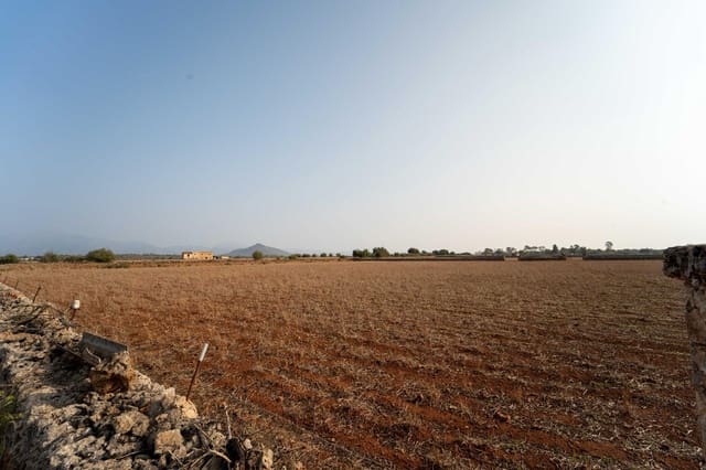 Byggegrund til salg i Inca - € 275.000 (Ref: 8776479)