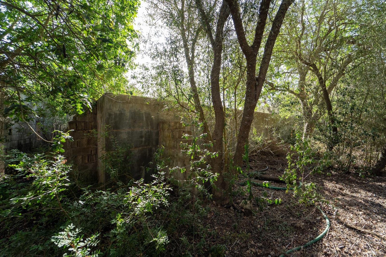 3 soveværelse Finca/Landehus til salg i Ariany med swimmingpool garage - € 400.000 (Ref: 8781655)