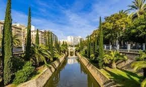 Virksomhed til salg i Palma de Mallorca - € 250.000 (Ref: 9031694)