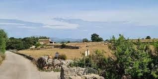 Terre non Aménagée à vendre à Sineu - 295 000 € (Ref: 9095323)