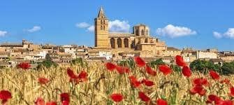 Terre non Aménagée à vendre à Sineu - 295 000 € (Ref: 9095323)