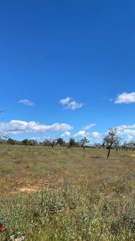 Undeveloped Land for sale in Sineu - € 295,000 (Ref: 9095323)