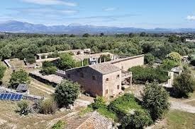 Terre non Aménagée à vendre à Sineu - 295 000 € (Ref: 9095323)