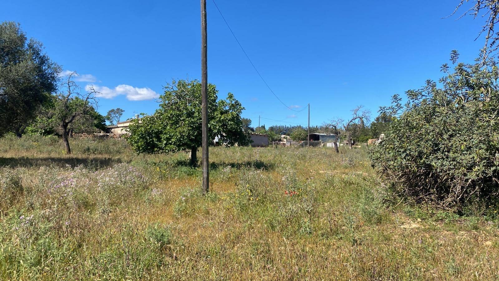 Terre non Aménagée à vendre à Sineu - 295 000 € (Ref: 9095323)