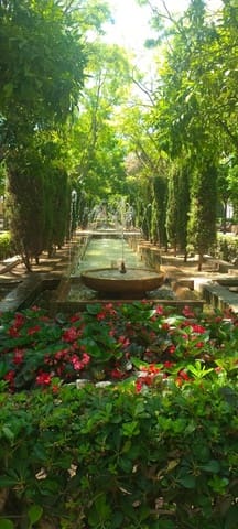 4 camera da letto Attico in vendita in Cort, Palma de Mallorca con garage - 1.950.000 € (Rif: 9118803)