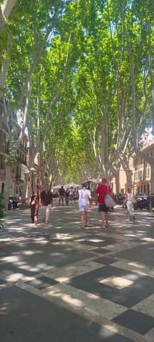 4 camera da letto Attico in vendita in Cort, Palma de Mallorca con garage - 1.950.000 € (Rif: 9118803)