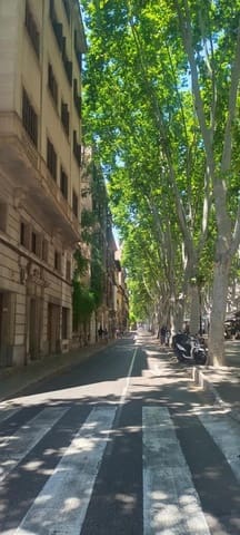 4 camera da letto Attico in vendita in Cort, Palma de Mallorca con garage - 1.950.000 € (Rif: 9118803)