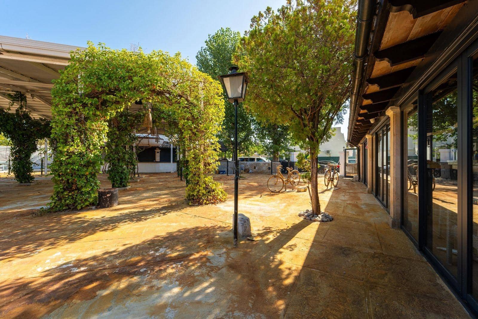 Commercieel te huur in Alcudia - € 5.500 (Ref: 9176508)