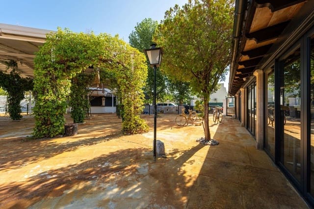 Commercial for rent in Alcúdia - € 5,500 (Ref: 9176508)