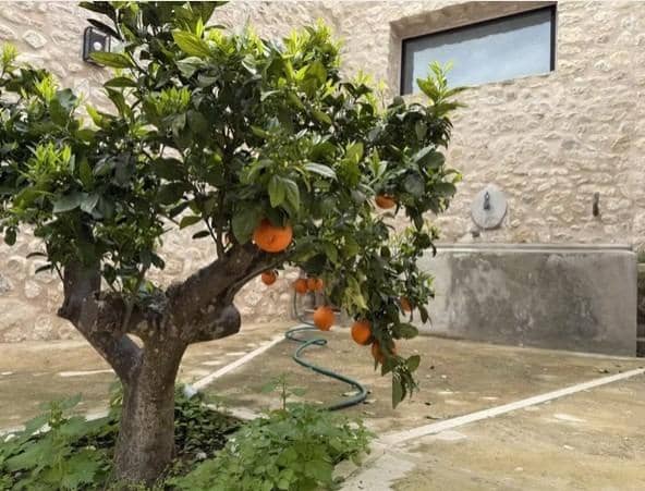 Finca/Casa Rural de 12 habitaciones en Montuïri en venta - 7.000.000 € (Ref: 9208382)