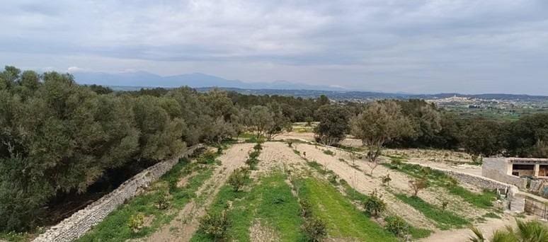 Finca/Casa Rural de 12 habitaciones en Montuïri en venta - 7.000.000 € (Ref: 9208382)