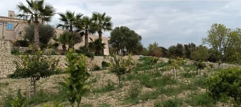 Finca/Casa Rural de 12 habitaciones en Montuïri en venta - 7.000.000 € (Ref: 9208382)