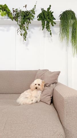 2 sypialnia Apartament na sprzedaż w Costa de la Calma, Calvià z basenem - 460 000 € (Ref: 9252497)