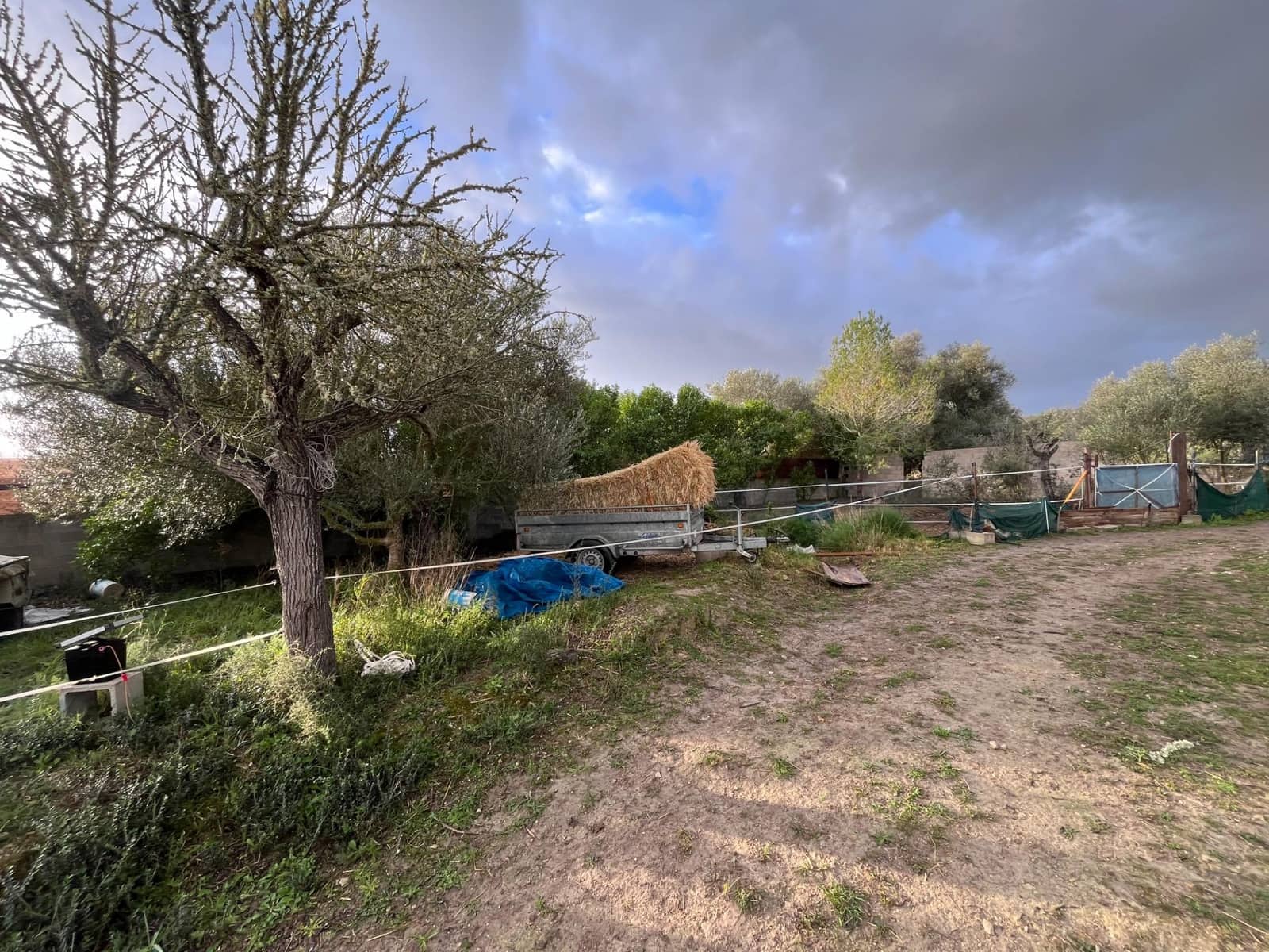 1 camera da letto Finca/Casa di Campagna in vendita in Montuiri - 239.000 € (Rif: 9282278)