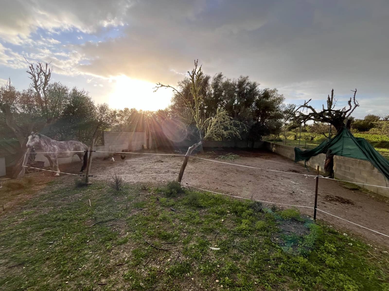 1 camera da letto Finca/Casa di Campagna in vendita in Montuiri - 239.000 € (Rif: 9282278)