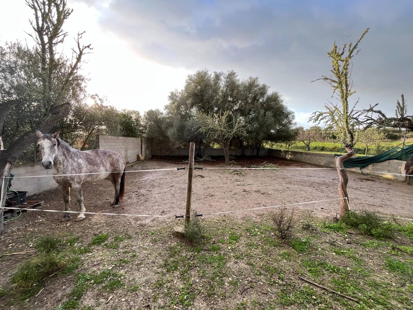 1 camera da letto Finca/Casa di Campagna in vendita in Montuiri - 239.000 € (Rif: 9282278)