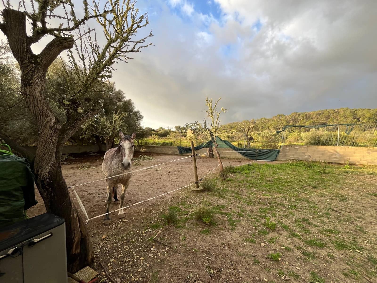 1 camera da letto Finca/Casa di Campagna in vendita in Montuiri - 239.000 € (Rif: 9282278)