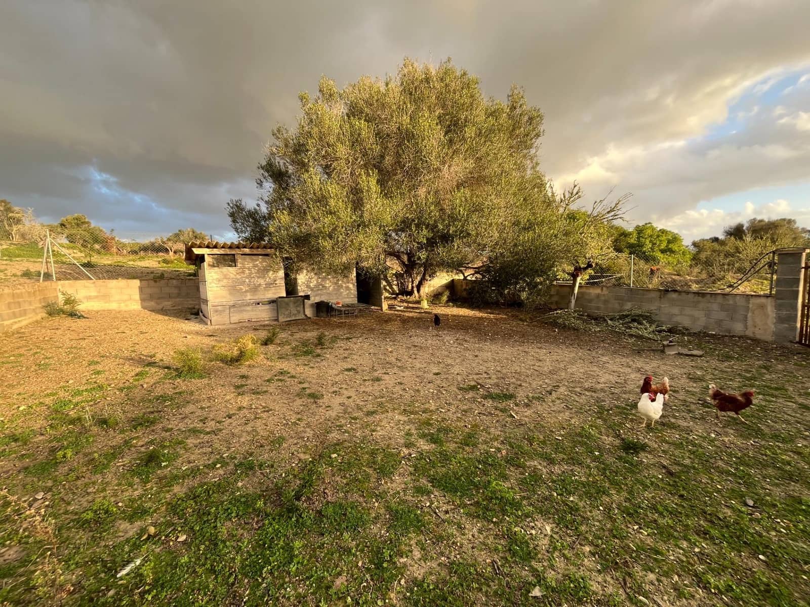 1 camera da letto Finca/Casa di Campagna in vendita in Montuiri - 239.000 € (Rif: 9282278)