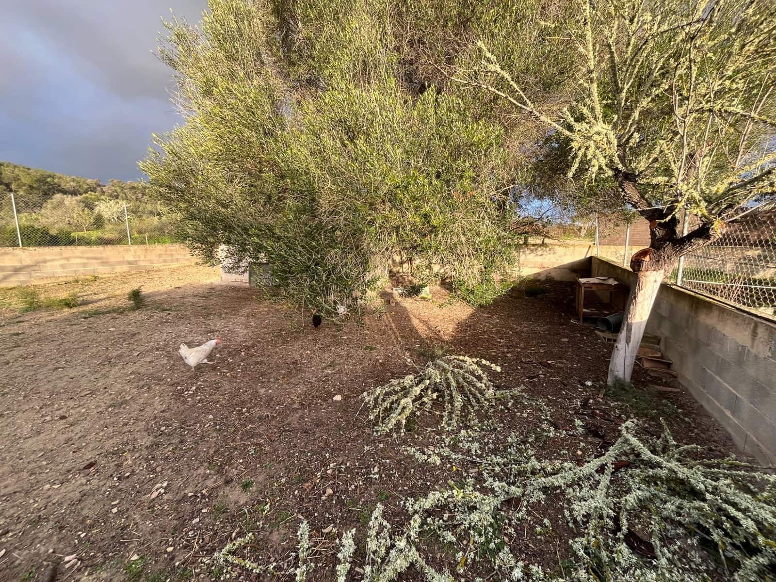 1 camera da letto Finca/Casa di Campagna in vendita in Montuiri - 239.000 € (Rif: 9282278)