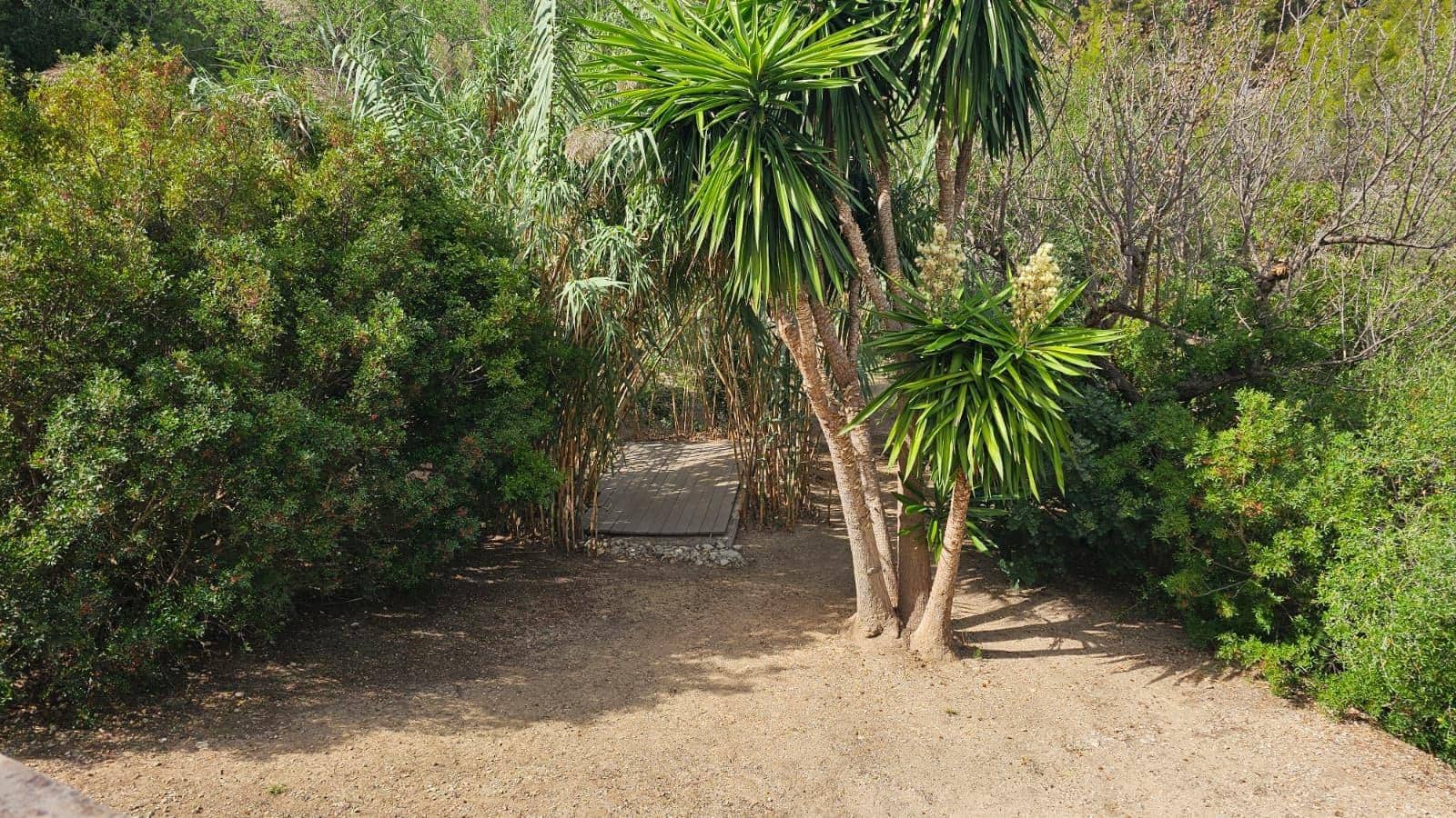 3 soverom Finca/Herregård til salgs i Es Capdella med svømmebasseng - € 1 250 000 (Ref: 9310954)